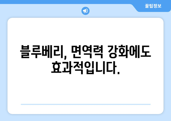 블루베리 | 뇌 건강과 전반적인 웰빙 향상