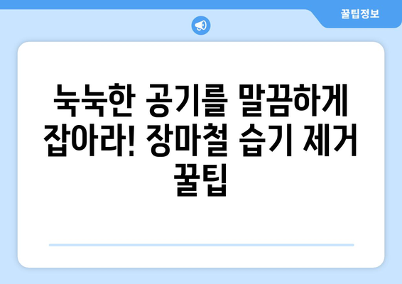 장마철 습기를 퇴치하는 효과적인 솔루션