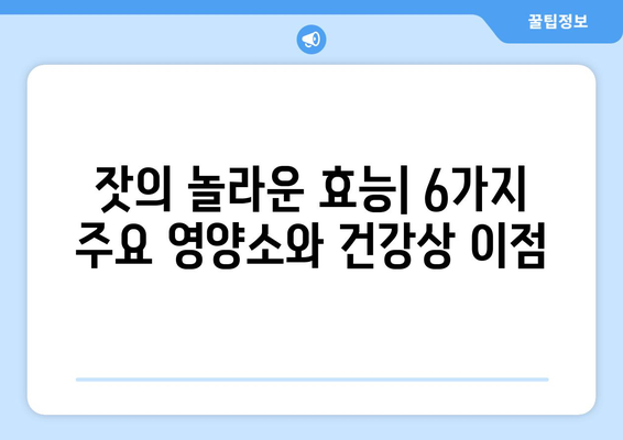 잣의 6가지 필수 영양소와 건강상 이점