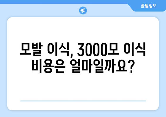 모발 이식 비용 총정리 | 3000모 비용 살펴보기