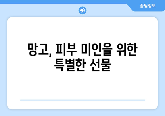 망고 | 맛있고 영양가 높은 8가지 효능