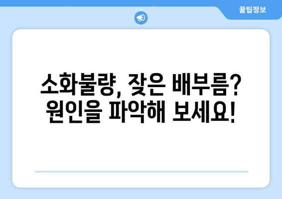 배가 부풀거나 소화 불량의 원인과 해결책