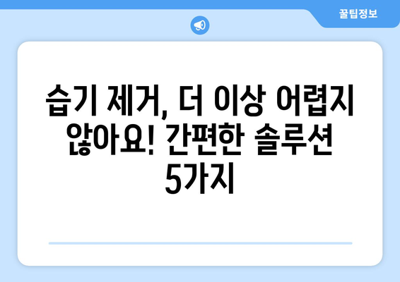 장마철 습기를 퇴치하는 효과적인 솔루션