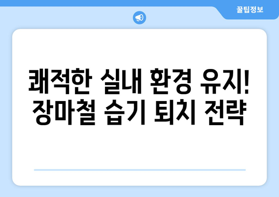 장마철 습기를 퇴치하는 효과적인 솔루션