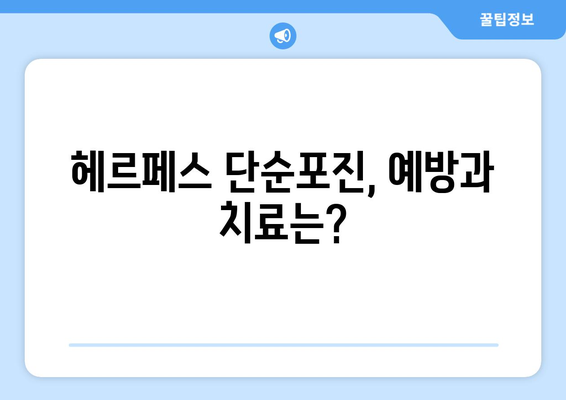 헤르페스 단순포진에 관한 모든 것