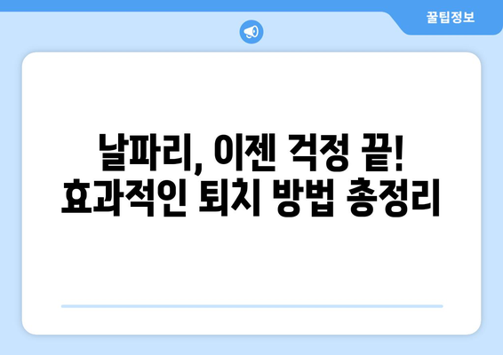 날파리 퇴치의 완벽한 안내서 | 문제 없애는 효과적인 방법