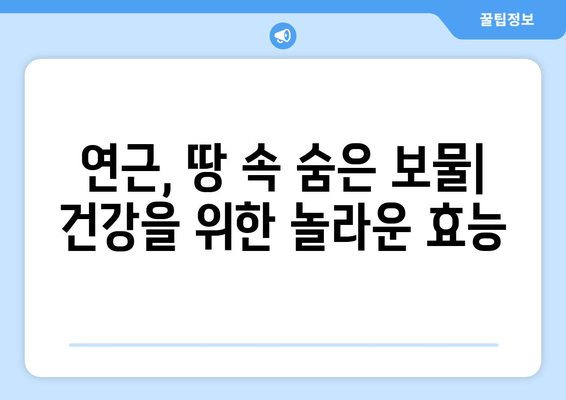 연근의 놀라운 건강상 이점 | 1부