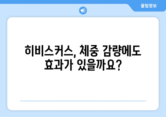 히비스커스의 다양한 건강 효능