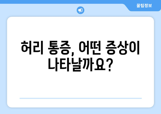 허리 통증의 원인과 증상 | 이해하고 대처하기