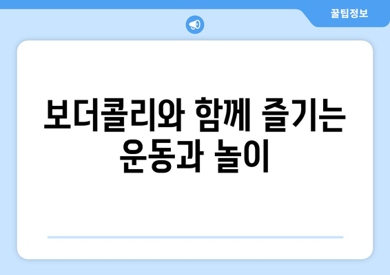 보더콜리의 성격과 키우는 요령