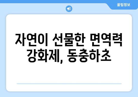 동충하초의 9가지 놀라운 효능으로 면역력 강화