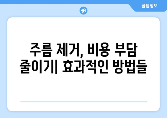 주름 제거를 위한 비용과 비용 효과적인 방법