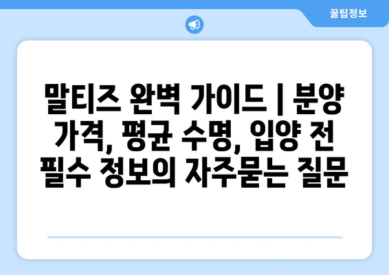 말티즈 완벽 가이드 | 분양 가격, 평균 수명, 입양 전 필수 정보