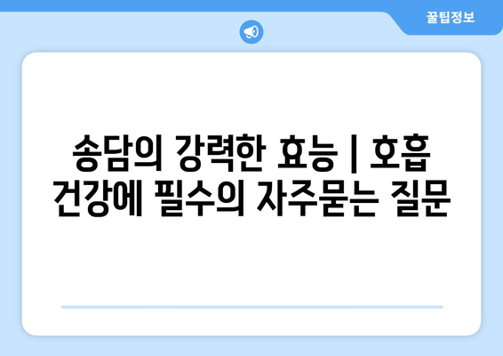 송담의 강력한 효능 | 호흡 건강에 필수