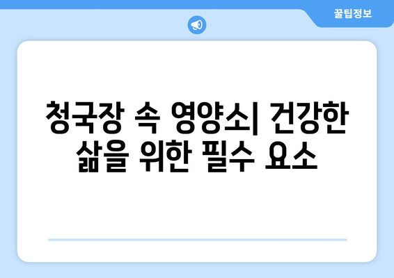 청국장으로 몸 건강 증진 | 효능과 영양소