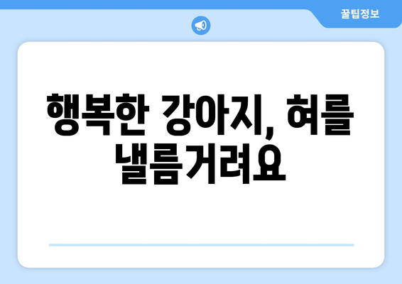 강아지가 혀를 낼름거리는 이해하기