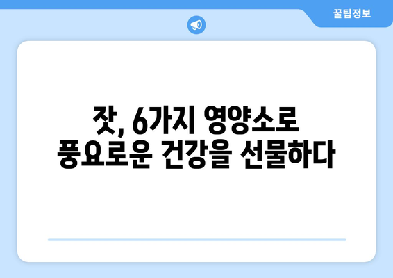 잣의 6가지 필수 영양소와 건강상 이점