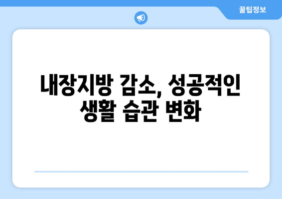 내장지방과 내장비만 탈출 가이드 | 효과적인 방법 모음