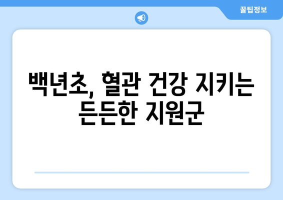 백년초의 숨겨진 힘 | 놀라운 건강 효과