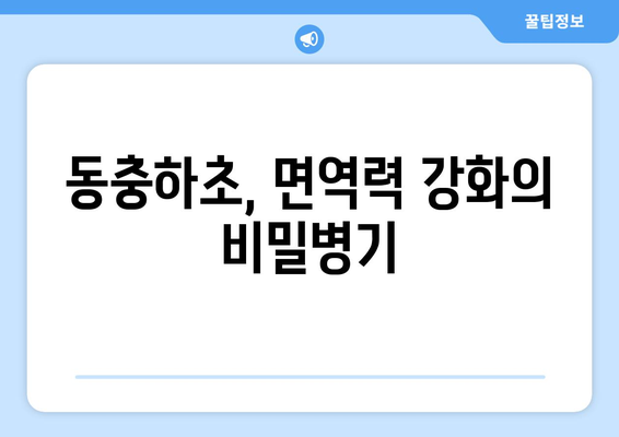 동충하초의 9가지 놀라운 효능으로 면역력 강화