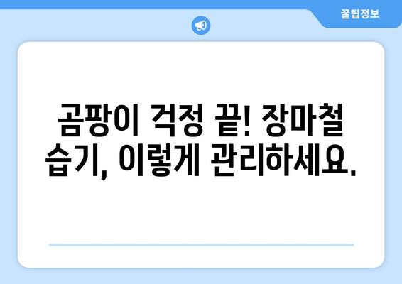 장마철 습기를 퇴치하는 효과적인 솔루션