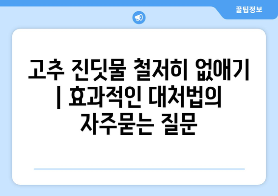 고추 진딧물 철저히 없애기 | 효과적인 대처법