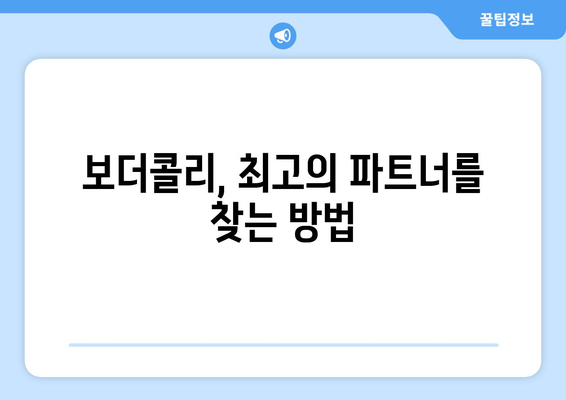 보더콜리의 성격과 키우는 요령