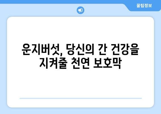 간 건강을 위한 운지버섯의 6가지 놀라운 효능