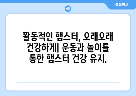 햄스터 건강 관리 가이드 | 장수에 위한 팁