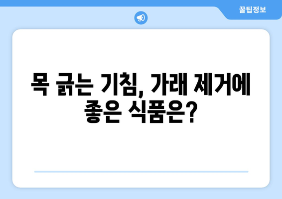 기침 및 가래 완화 | 추천 식품 7가지로 숨통 트세요