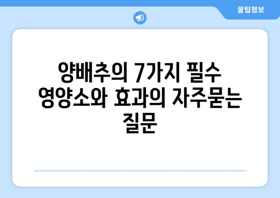 양배추의 7가지 필수 영양소와 효과