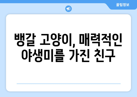 뱅갈 고양이의 성격과 관리 가이드