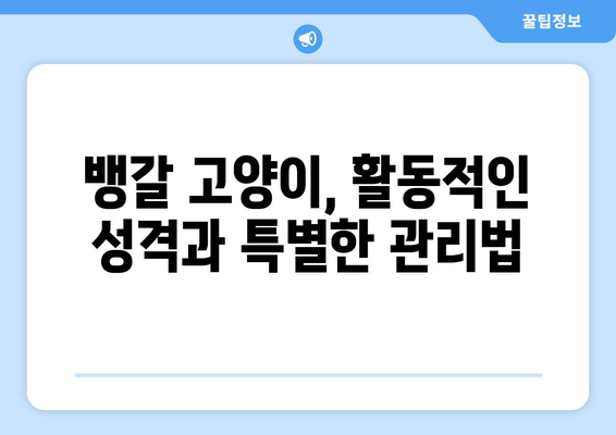 뱅갈 고양이의 성격과 관리 가이드