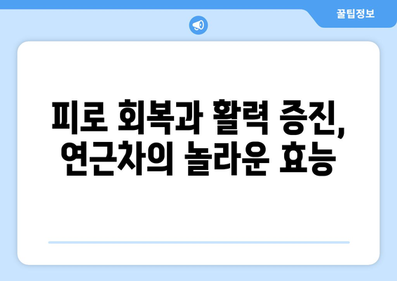 연근차 마시기의 8가지 건강상 이점