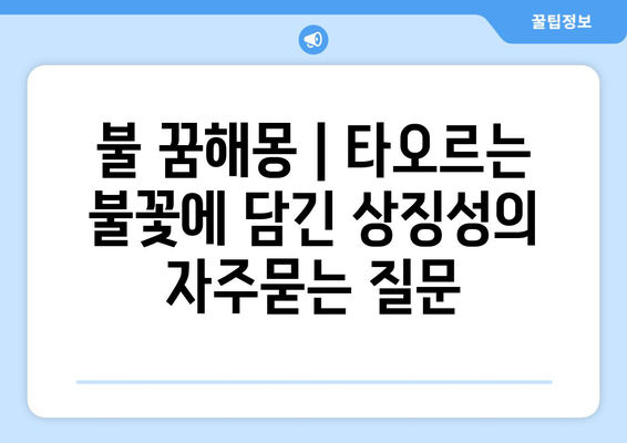 불 꿈해몽 | 타오르는 불꽃에 담긴 상징성