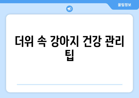 강아지 더위 피로 해결 팁