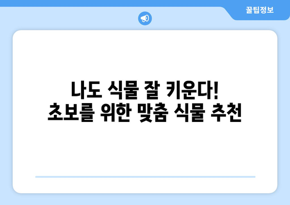 식물 관리 101 | 초보자를 위한 쉽고 실용적인 팁