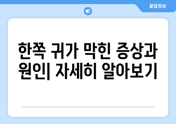 한쪽 귀가 막힌 증상과 원인