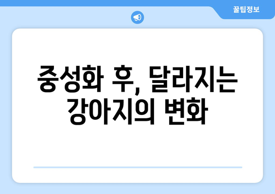 강아지 중성화 수술 | 최적의 시기와 고려 사항