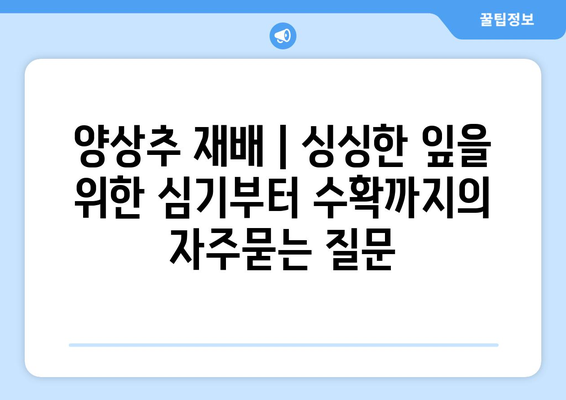 양상추 재배 | 싱싱한 잎을 위한 심기부터 수확까지