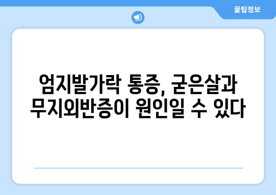 굳은살과 무지외반증 | 엄지발가락 통증의 진단과 예방