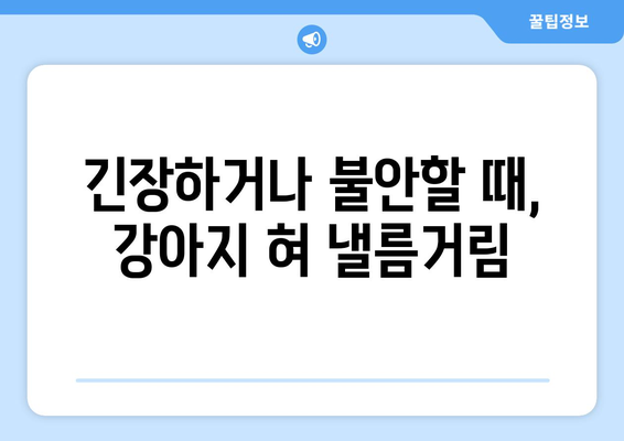 강아지가 혀를 낼름거리는 이해하기