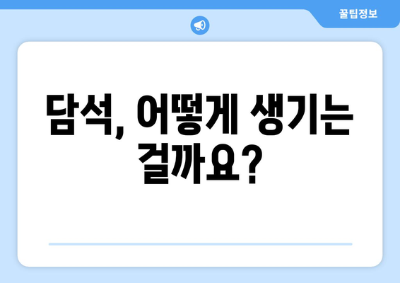 - 담석증의 증상과 치료법