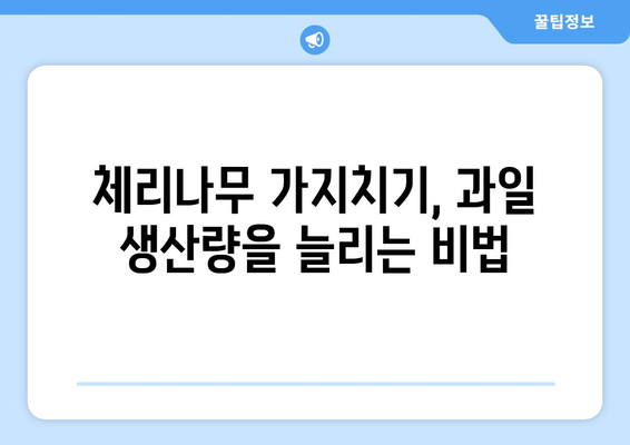 체리나무 가지치기 | 최고의 수확을 위한 필수 가이드