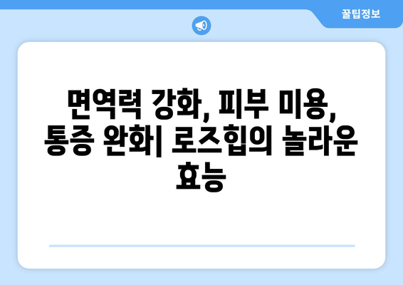 로즈힙 | 건강을 증진시키는 야생 베리의 놀라운 힘