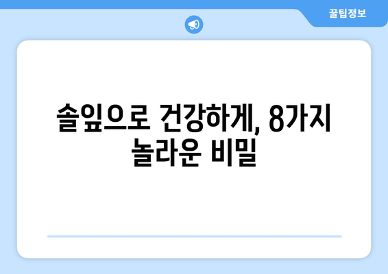 솔잎의 놀라운 8가지 효능