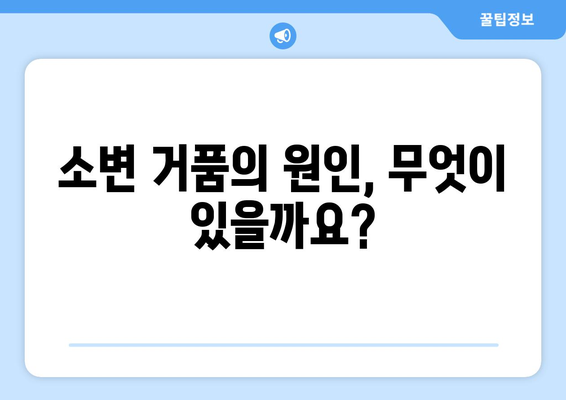 소변 거품의 원인과 경고 신호 | 질병 파악을 위한 가이드