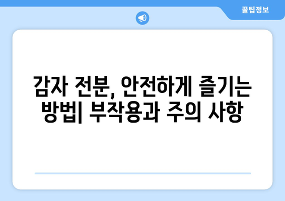 감자 전분 | 효능, 부작용, 보관 및 섭취 가이드