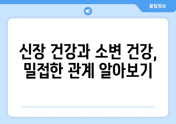 신장 건강에 도움이 되는 10가지 음식 | 이상한 소변을 개선할 때