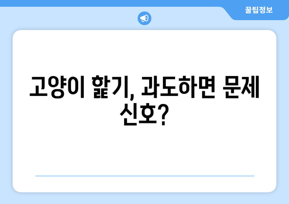 고양이 핥는 행동 | 그루밍의 의미 파헤치기